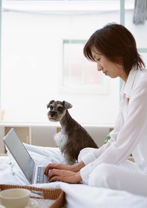 名古屋のビジネス成功を支える！信頼のホームページ制作会社選びガイド